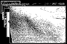 湿地防渗土工膜的应用